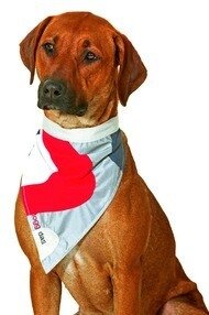 Karlie Doggidas Veiligheidshalsdoek Rood, 2 maten