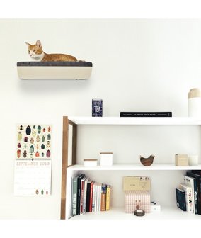 Cosy and Dozy - Chill Cat Shelf - Walnut + Smooth Dark Grey