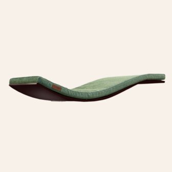 Cosy and Dozy - Chill DeLuxe Cat Shelf - Wenge + Elegant Green