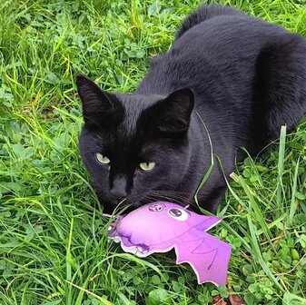 4cats Halloween vleermuis met 4catsnip