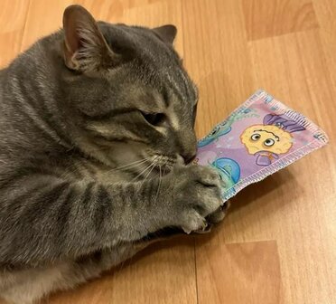 4cats Monster Collection Knuffelkussen mini met valeriaan