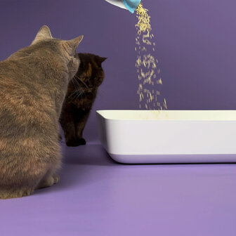 HOOPO - Tofu Kattenbakvulling - Doos van 4 x 7 Liter