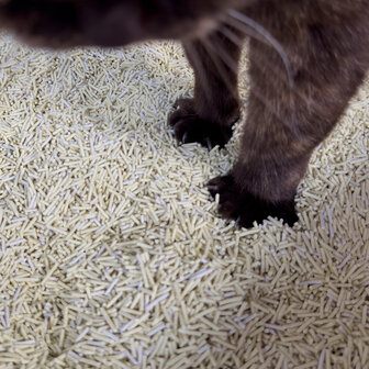 HOOPO - Tofu Kattenbakvulling - Doos van 4 x 7 Liter