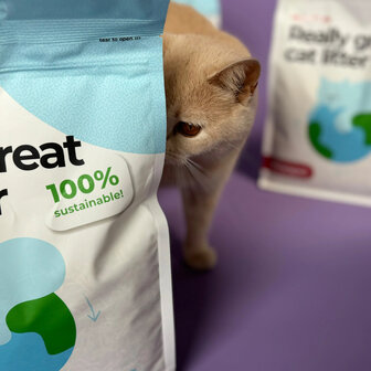 HOOPO - Tofu Kattenbakvulling - Doos van 4 x 7 Liter