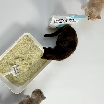 HOOPO - Tofu Kattenbakvulling - Doos van 4 x 7 Liter