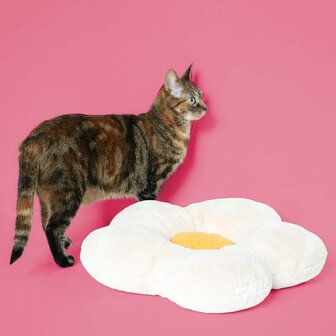 Kussen Lazy Daisy