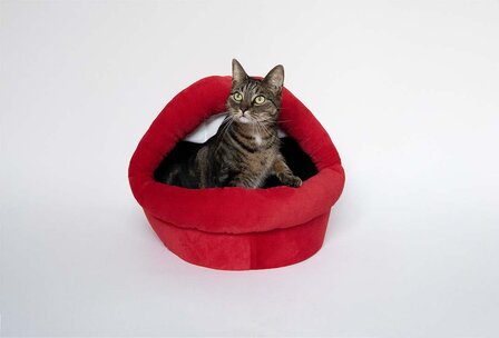 Huis Meow Mouth