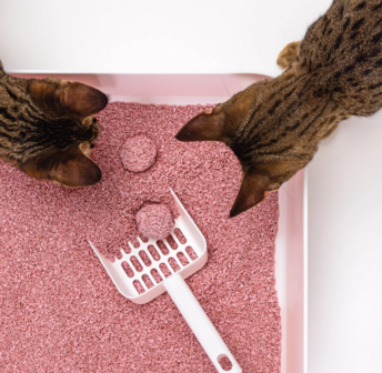 HOOPO - Tofu Fine Kattenbakvulling  Babypoeder - zak van 7 Liter