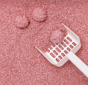 HOOPO - Tofu Fine Kattenbakvulling Babypoeder- Doos van 4 x 7 Liter