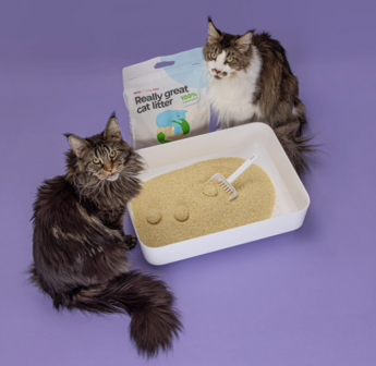HOOPO - Tofu Fine Kattenbakvulling - Doos van 4 x 7 Liter
