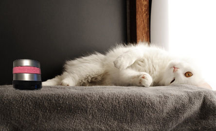 RelaxoCat Smart - Subliminale stressbehandeling bij katten!