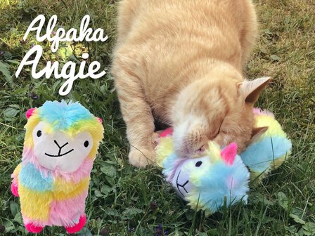 Alpaca Angie in regenboogkleuren met Valeriaan en Spelt