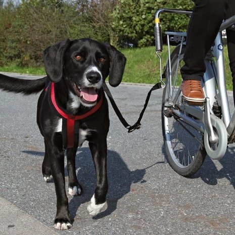 Trixie Biker-set Fietsbeugel voor honden