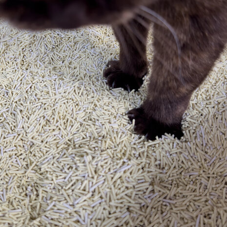 HOOPO - Tofu Kattenbakvulling - Doos van 4 x 7 Liter