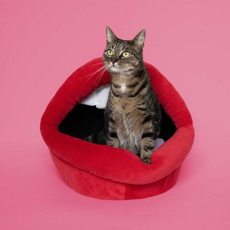 Huis Meow Mouth
