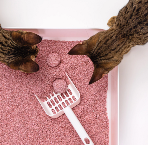 HOOPO - Tofu Fine Kattenbakvulling  Babypoeder - zak van 7 Liter