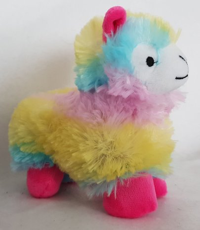 Alpaca Angie in regenboogkleuren met Valeriaan en Spelt