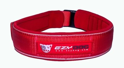 Voorbeeld Vermelding louter EzyDog Halsband Neopreen Rood - De Dierenkoning Dierenspeciaalzaak