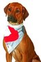 Karlie-Doggidas-Veiligheidshalsdoek-Rood-2-maten