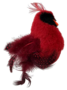 Pet-Sport-Feathered-Kitty-Wobbler-Red