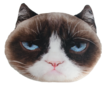 PetFaces-kussen-Grumpy-Cat