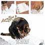 Cat-Activity-Fun-Board-30x40-cm-(frummelbord)