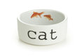 Eet--of-drinkbakje-Snapshot-Cat-115-x-4-cm