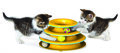 Petstages-Tower-of-Tracks