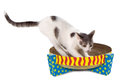 Petstages-Easy-Life-Scratch-Snuggle-&amp;-Rest