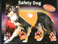 Veiligheidsvest-voor-honden-M-Oranje