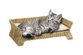 Banana-Leaf-Sofa