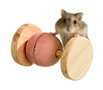 Wonderland Brain Train Magic Wheel voor hamsters