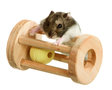 Wonderland Brain Train Magic Wheel voor hamsters