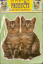 Grote-kattensticker-01-op=op